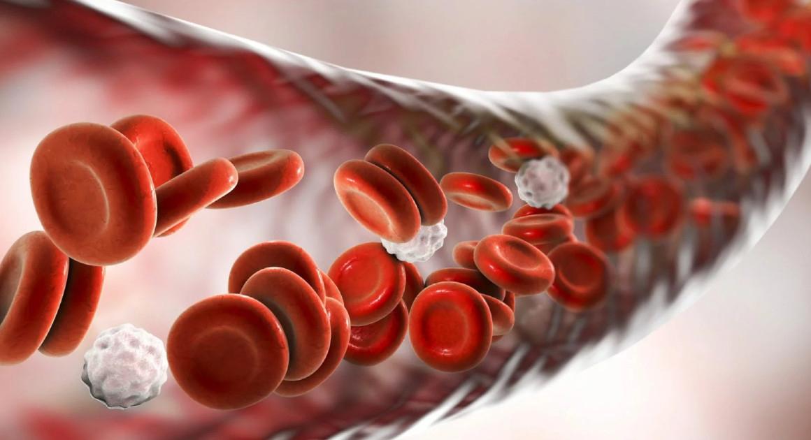 Bloodflow