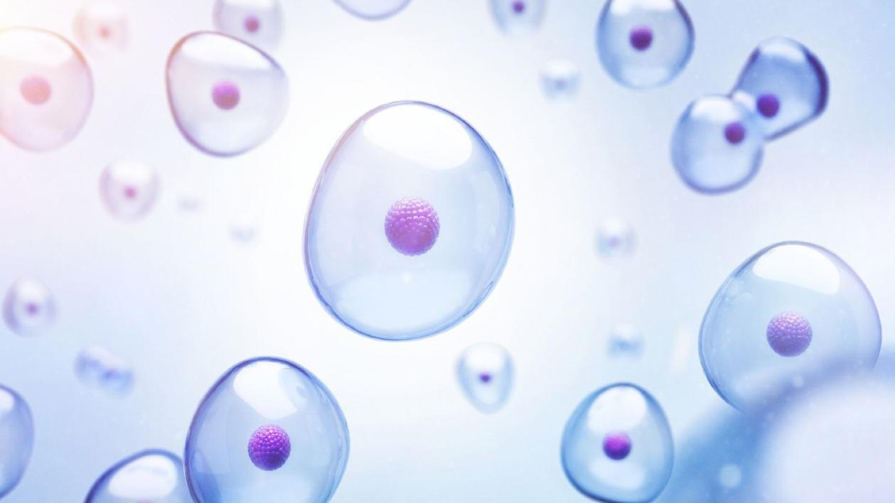 Biostimulation
