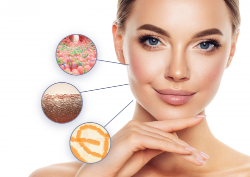 SKEYNDOR Probiome Peel chemical peel